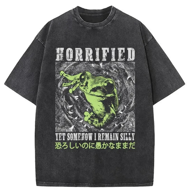 Silly Frog Japanese Washed T-Shirt