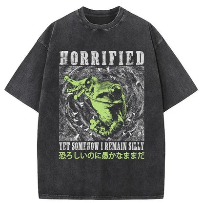 Silly Frog Japanese Washed T-Shirt